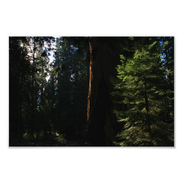 Foto Parque Nacional do Kings Canyon (Frente)