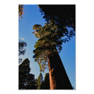 Foto Parque Nacional do Kings Canyon