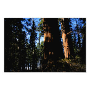 Foto Parque Nacional do Kings Canyon