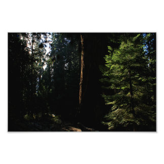 Foto Parque Nacional do Kings Canyon