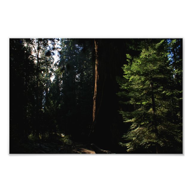 Foto Parque Nacional do Kings Canyon (Frente)