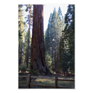 Foto Parque Nacional do Kings Canyon