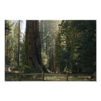 Foto Parque Nacional do Kings Canyon