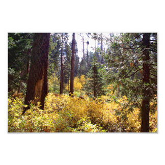 Foto Parque Nacional do Kings Canyon