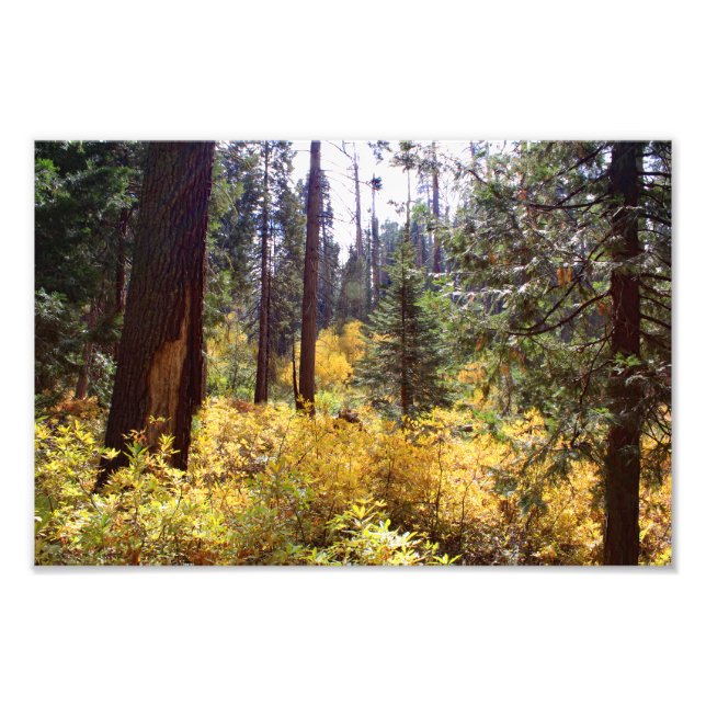 Foto Parque Nacional do Kings Canyon (Frente)