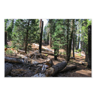 Foto Parque Nacional do Kings Canyon