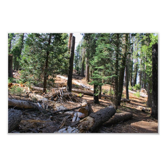 Foto Parque Nacional do Kings Canyon (Frente)