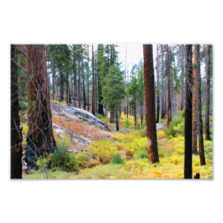 Foto Parque Nacional do Kings Canyon