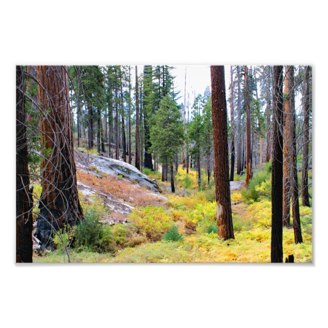 Foto Parque Nacional do Kings Canyon (Frente)