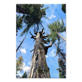 Foto Parque Nacional do Kings Canyon
