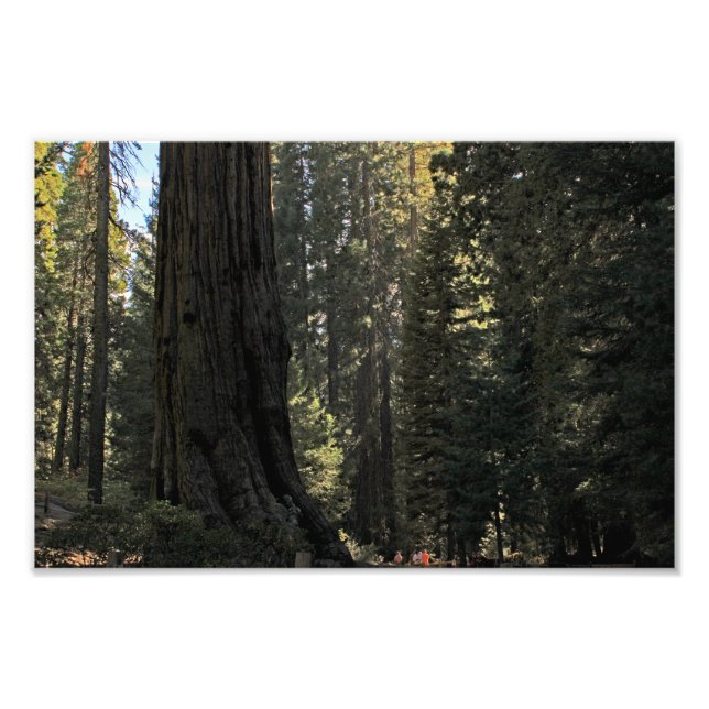 Foto Parque Nacional do Kings Canyon (Frente)