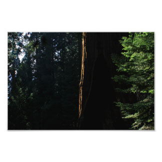 Foto Parque Nacional do Kings Canyon