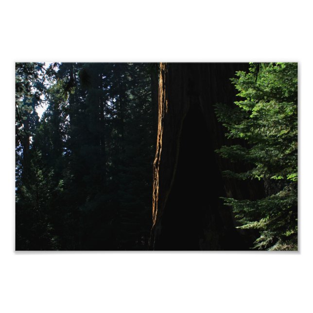 Foto Parque Nacional do Kings Canyon (Frente)