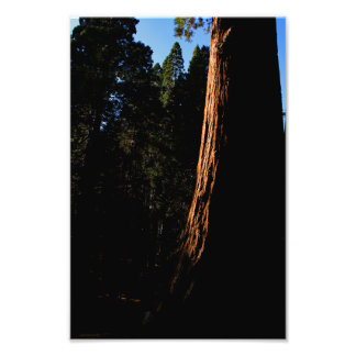 Foto Parque Nacional do Kings Canyon