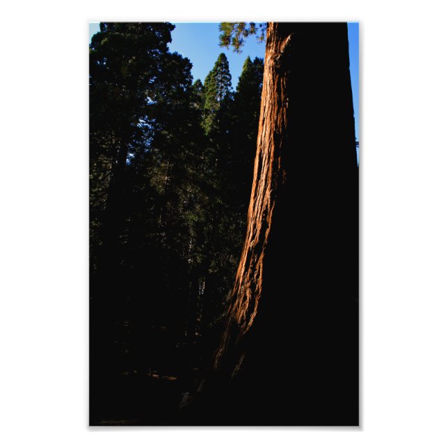 Foto Parque Nacional do Kings Canyon (Frente)