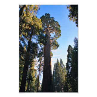 Foto Parque Nacional do Kings Canyon