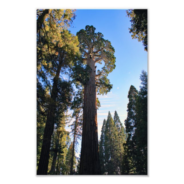 Foto Parque Nacional do Kings Canyon (Frente)