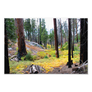 Foto Parque Nacional do Kings Canyon