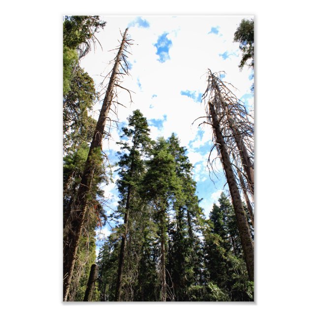 Foto Parque Nacional do Kings Canyon (Frente)