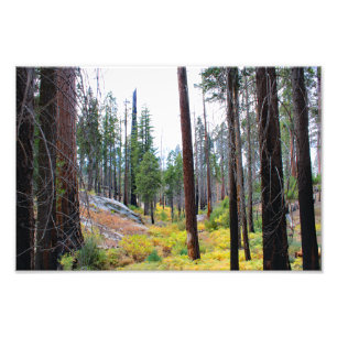 Foto Parque Nacional do Kings Canyon