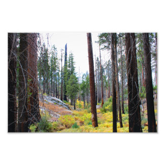 Foto Parque Nacional do Kings Canyon