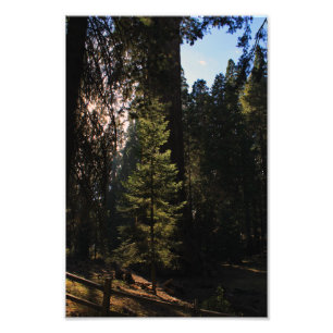 Foto Parque Nacional do Kings Canyon