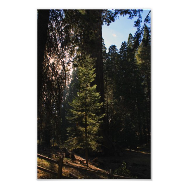 Foto Parque Nacional do Kings Canyon (Frente)