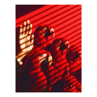 Foto Parques vermelhos e uma mão