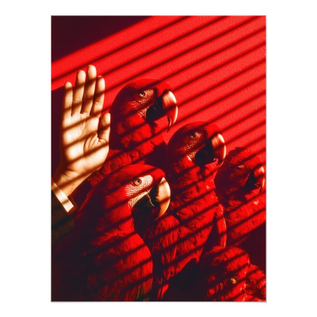 Foto Parques vermelhos e uma mão (Frente)