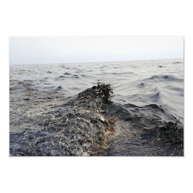 Foto Parte de uma maré negra no Golfo do México (Frente)