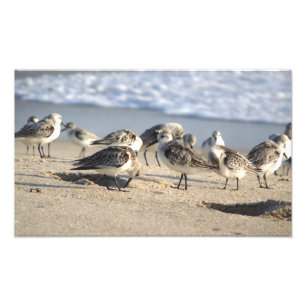 Foto Partido da praia. Entrada de Sebastian