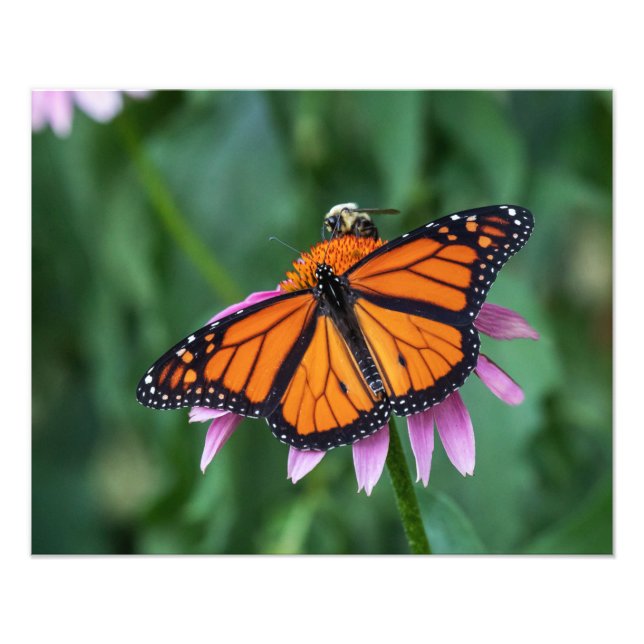 Foto Partilhar Uma Refeição (Frente)