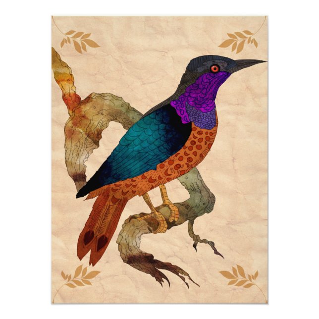 Foto Pássaro (Frente)