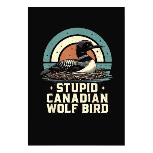 Foto Passaro Lobo Canadense Estúpido