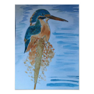 Foto Pássaro Martim-pescador