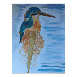 Foto Pássaro Martim-pescador