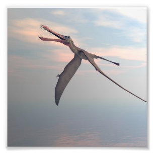 Foto Pássaro pré-histórico de Anhanguera