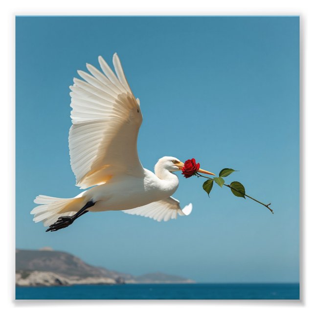 Foto Pássaro viajante (Frente)