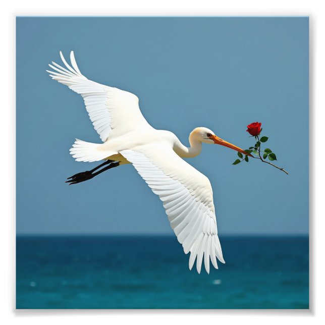 Foto Pássaro viajante (Frente)