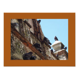 Foto Pássaros na Capela na Velha San Juan