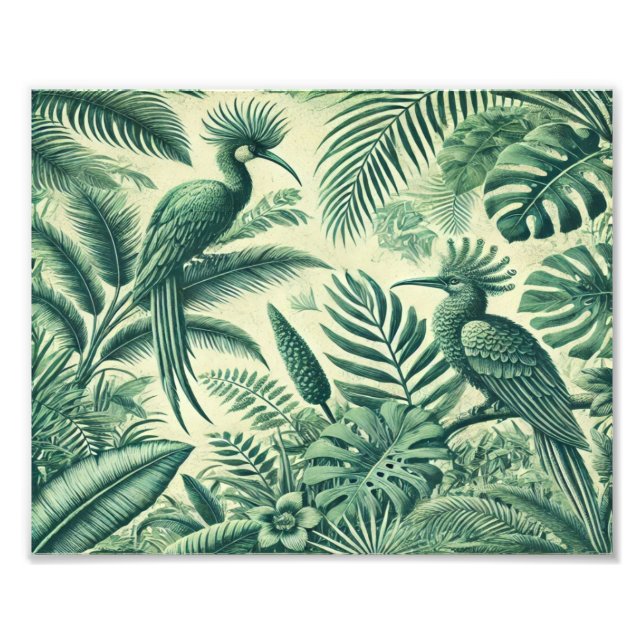 Foto Pássaros Tropicais Céu_ Vintage art (Frente)