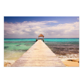 Foto Pata de passadeiras no mar de Caribe