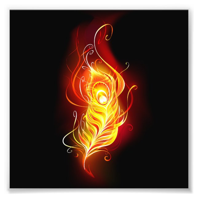 Foto Patilha de Fogo (Frente)