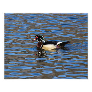 Foto Pato de madeira masculino