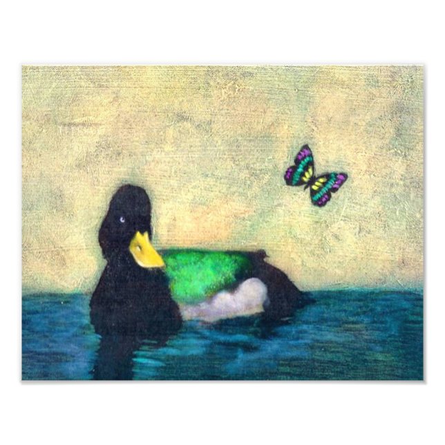 Foto Pato E Borboleta (Frente)
