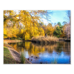 Foto Patos no lago de outono
