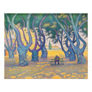 Foto Paul Signac - Place des Lices, Saint-Tropez