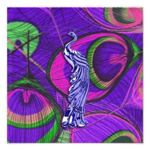 Foto Pavão cor-de-rosa e roxo