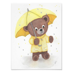 Foto Pé-urso na Chuva