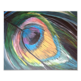 Foto Peacock Feather